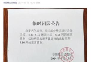 开云app链接截图1